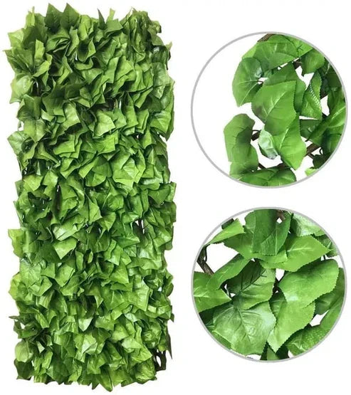 GreenBarrier™ Jardin Attrayant et Intime