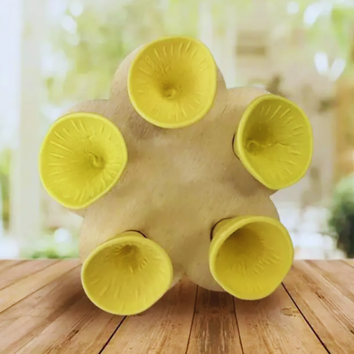 BeeCups – Tazze in Porcellana per Api nel Giardino (5-pack)