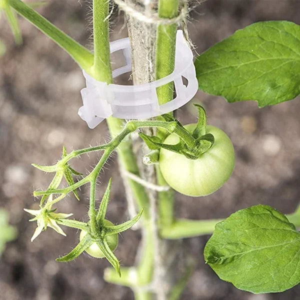 VineGrip™ – Clips de Soutien Réutilisables pour Plantes de Jardin