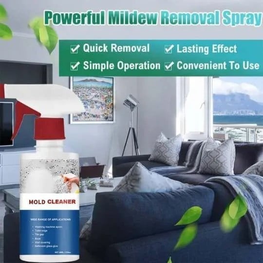SchimmelpilzSchutz™ – Eliminatore di muffa extra forte | Barriera anti-muffa sicura | 1+1 gratis