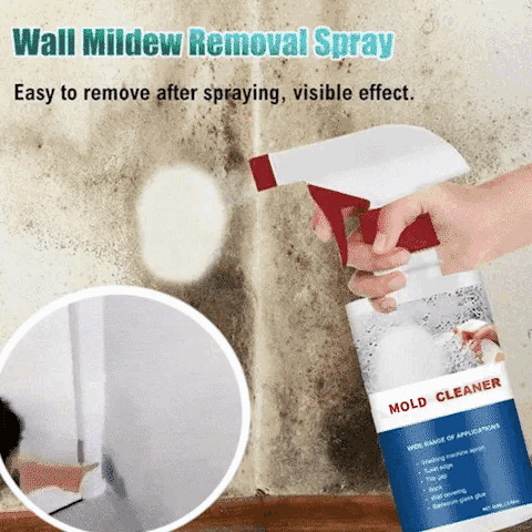 SchimmelpilzSchutz™ – Eliminatore di muffa extra forte | Barriera anti-muffa sicura | 1+1 gratis