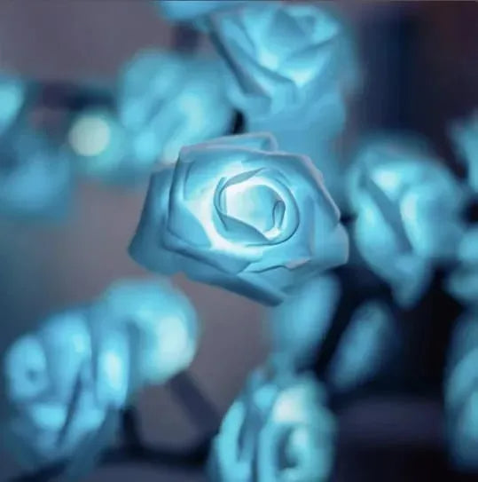 Firegems | L&