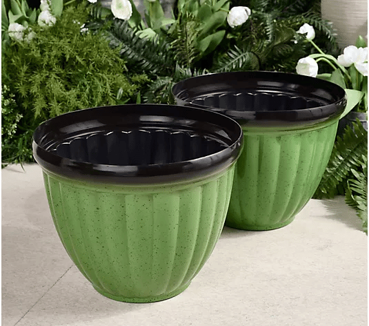 GreenNest™ Vie de Plantes Sans Soucis