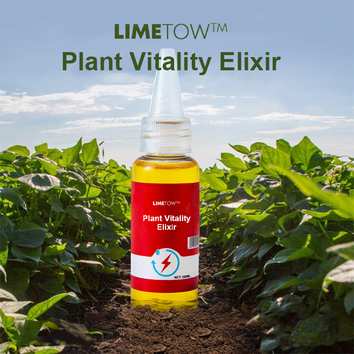 1+1 Gratuit | VitalBloom™ Renforce la Croissance des Plantes