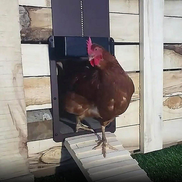 Lukentür™ Tieni al sicuro le tue galline