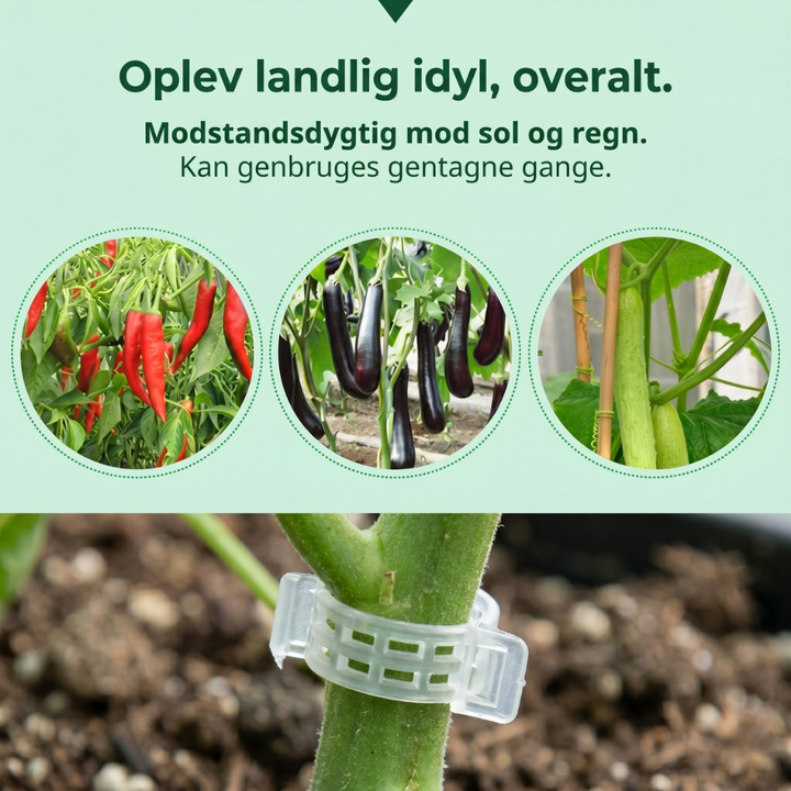 VineGrip™ – Clips de Soutien Réutilisables pour Plantes de Jardin