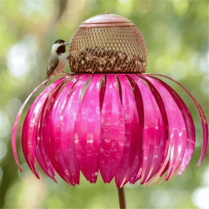 Mangiatore di uccelli a forma di fiore