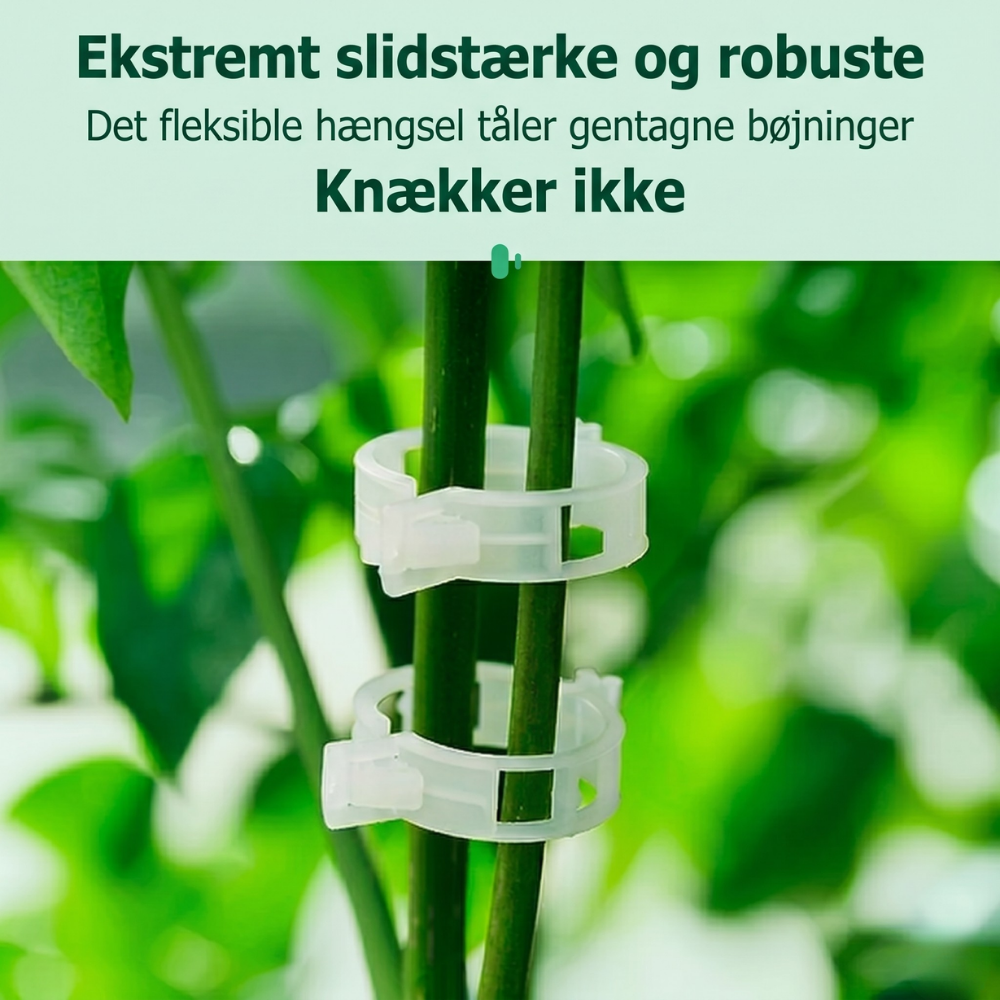VineGrip™ – Clips de Soutien Réutilisables pour Plantes de Jardin