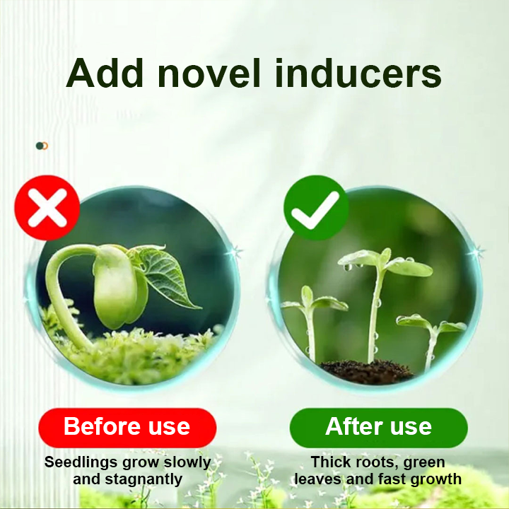 1+1 Gratuit | VitalBloom™ Renforce la Croissance des Plantes