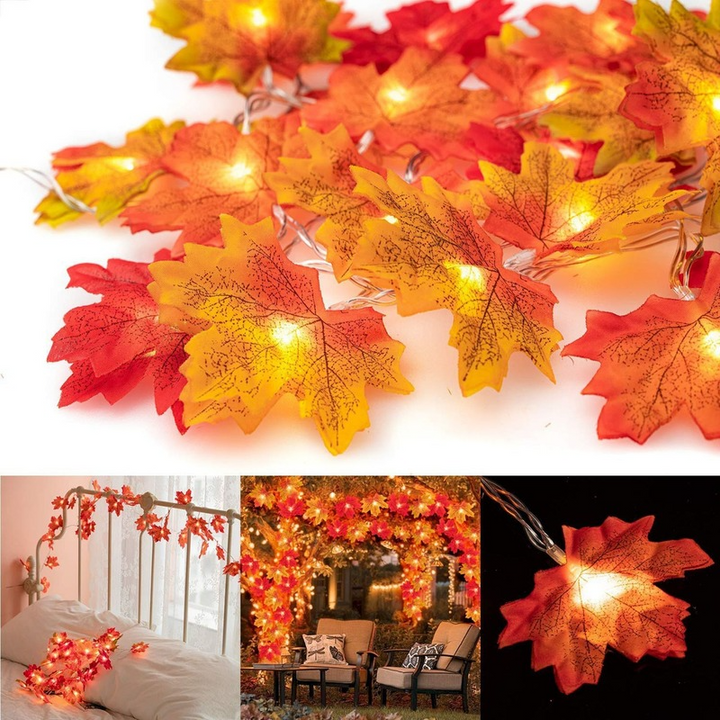 Luci decorative - Decorazioni autunnali | 50% DI SCONTO