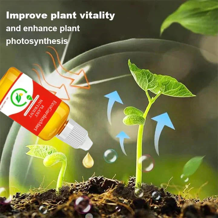 2+1 Gratuit | Récupération des Plantes Plus Rapide RootRise™
