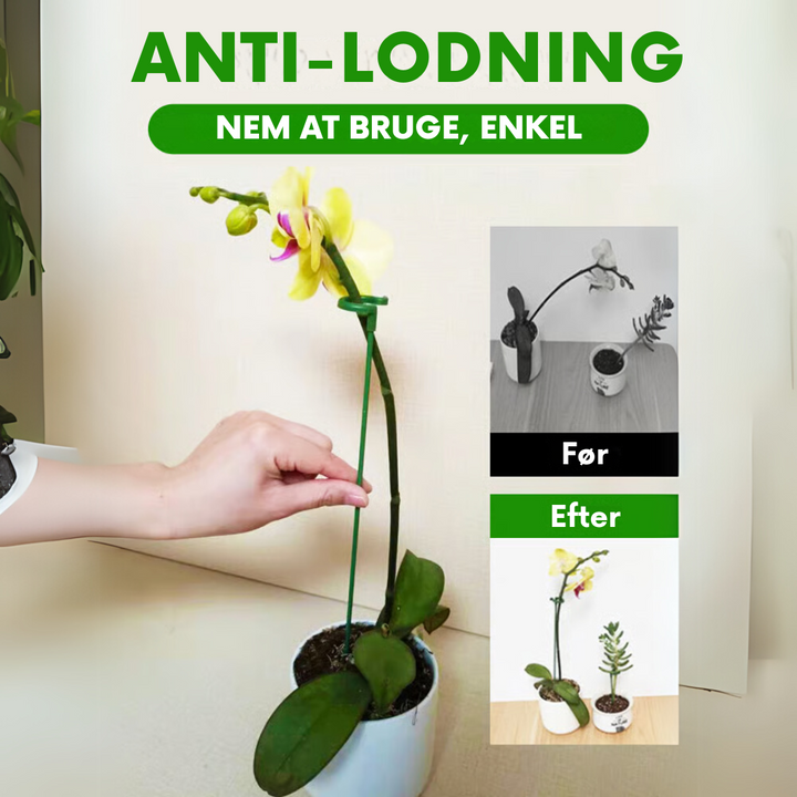 PlantGuard™ – Set di 10 Supporti per Piante Durevoli