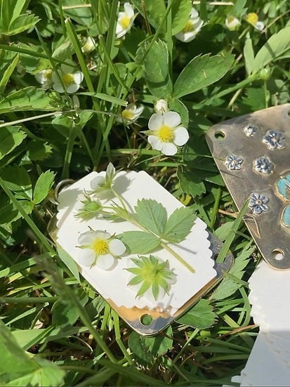 FloraPress™ Artigianato di Ricordi Botanici