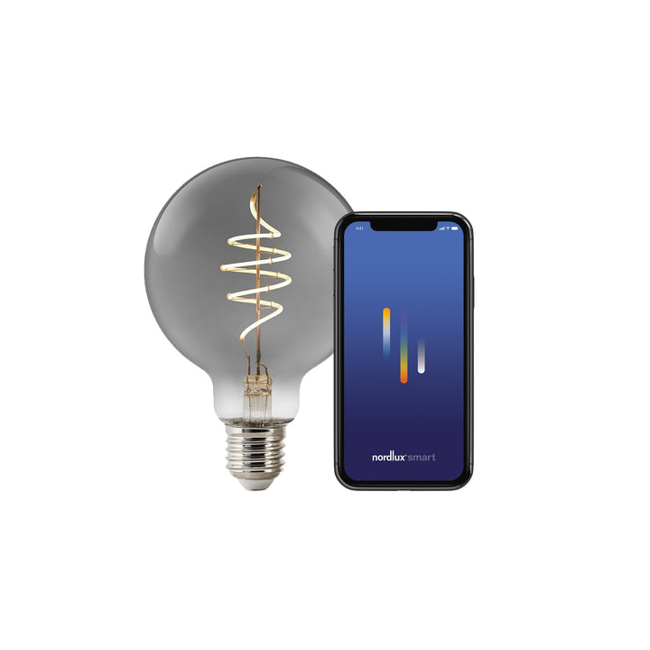 Lampadina Smart Deco G95 Globo E27 100lm, Fumè