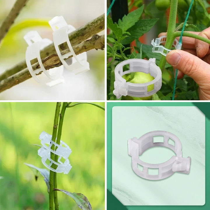 VineGrip™ – Clips de Soutien Réutilisables pour Plantes de Jardin
