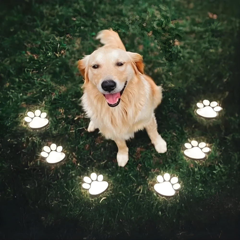 GlowPaws™ – Lampade Solari per Sentieri per Zampe di Animali