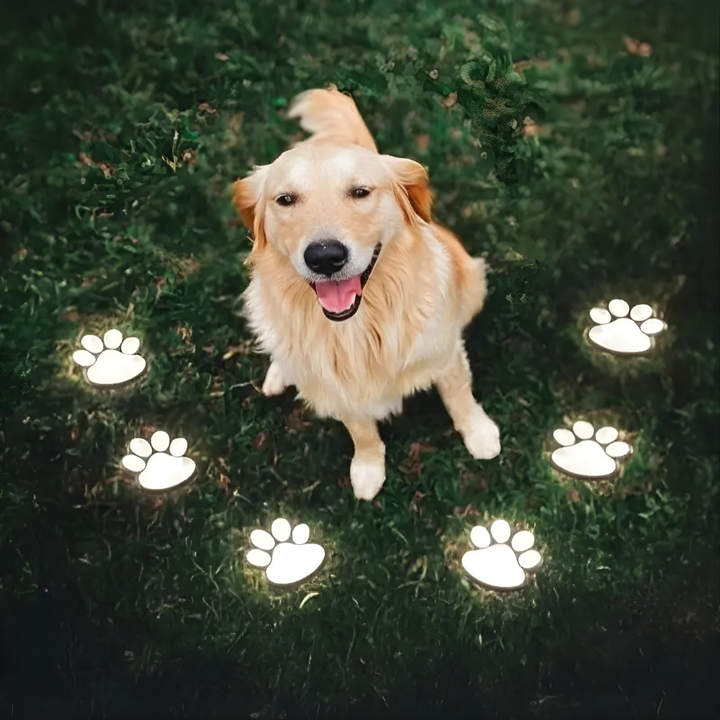 GlowPaws™ – Lampade Solari per Sentieri per Zampe di Animali