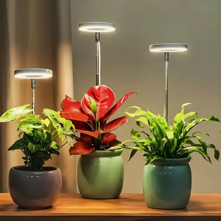 SunRoot™ – LED Fullspektrum Lampe pour une Croissance des Plantes Saine