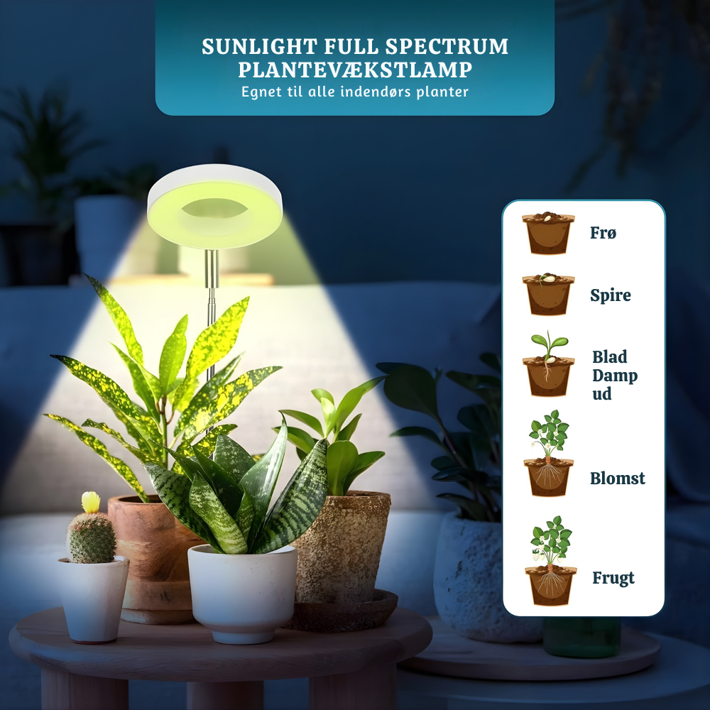SunRoot™ – LED Fullspektrum Lampe pour une Croissance des Plantes Saine