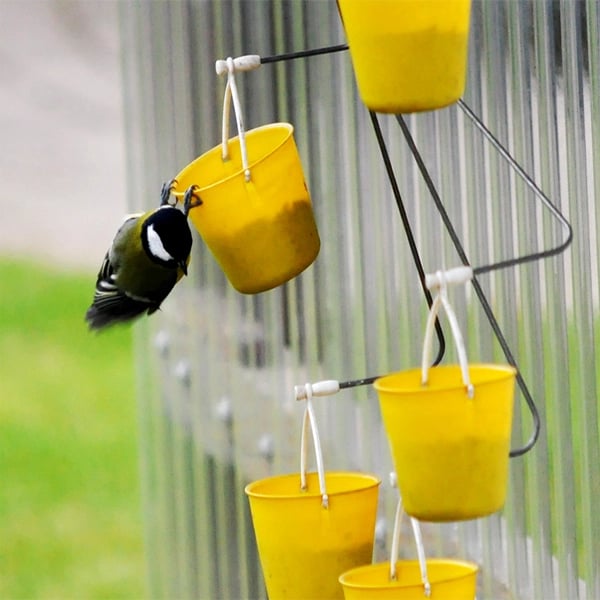 FeederMagic™ Distributeur de Nourriture pour Oiseaux Fantaisiste