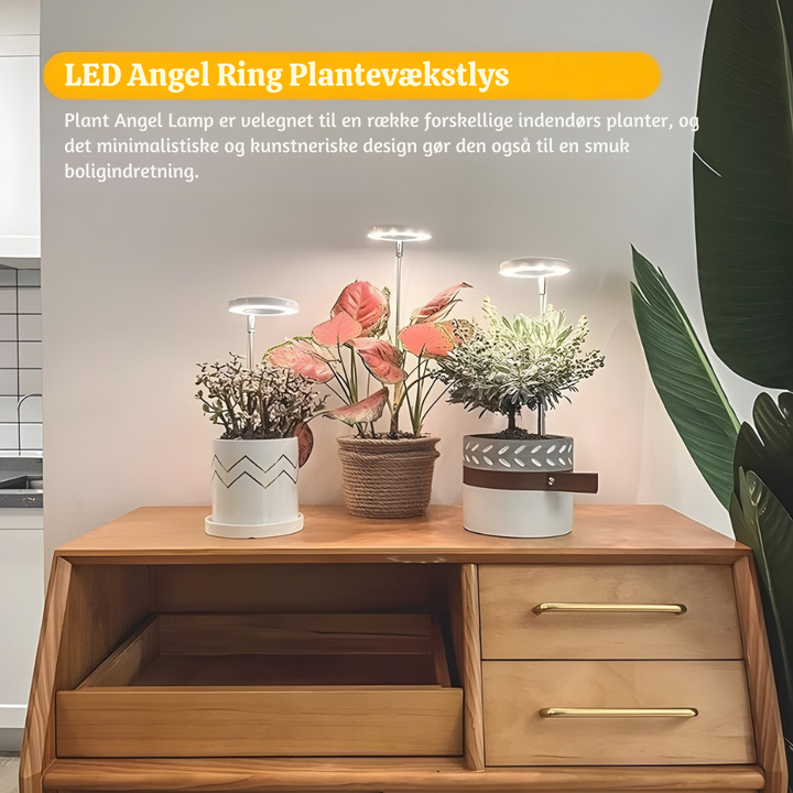 SunRoot™ – LED Fullspektrum Lampe pour une Croissance des Plantes Saine