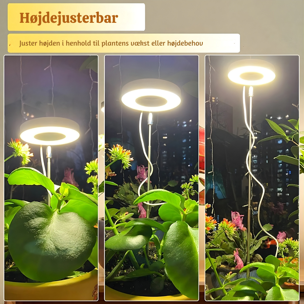 SunRoot™ – LED Fullspektrum Lampe pour une Croissance des Plantes Saine