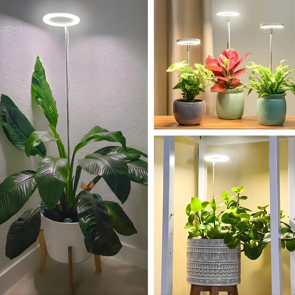 SunRoot™ – LED Fullspektrum Lampe pour une Croissance des Plantes Saine