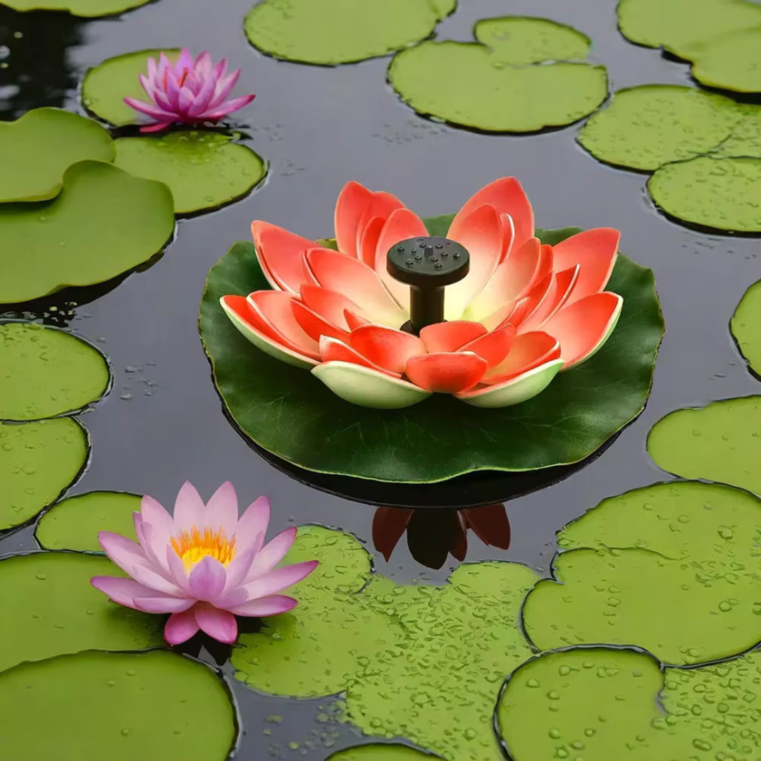 Lily™ - Fontaine à Eau Solaire