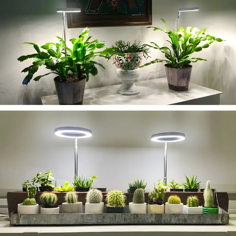 SunRoot™ – LED Fullspektrum Lampe pour une Croissance des Plantes Saine