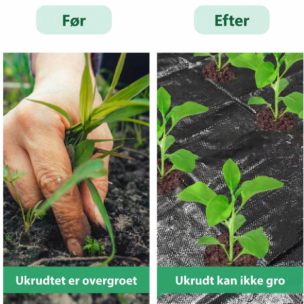 AgroBlock™ – Tissu de désherbage perforé pour couverture du sol
