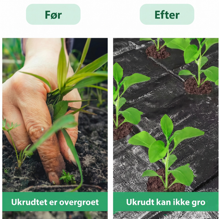 AgroBlock™ – Tissu de désherbage perforé pour couverture du sol