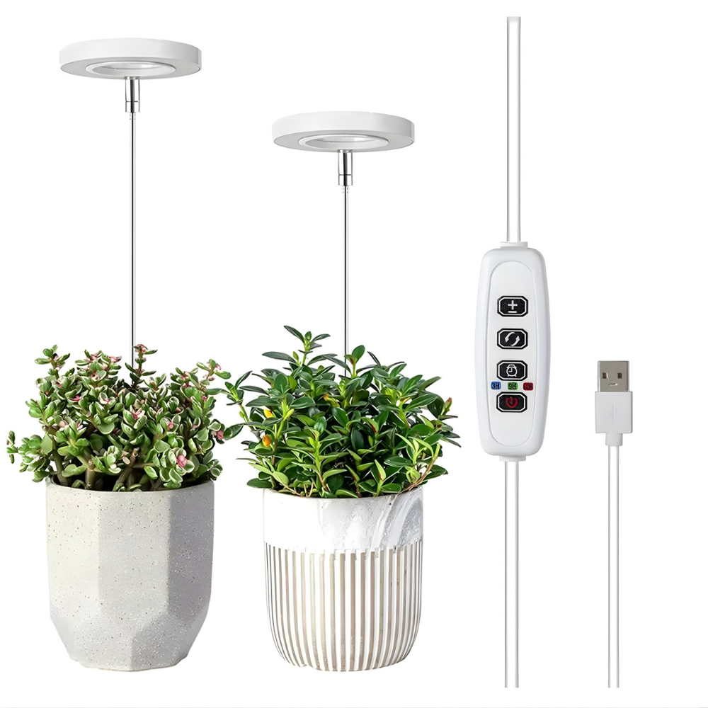 SunRoot™ – LED Fullspektrum Lampe pour une Croissance des Plantes Saine