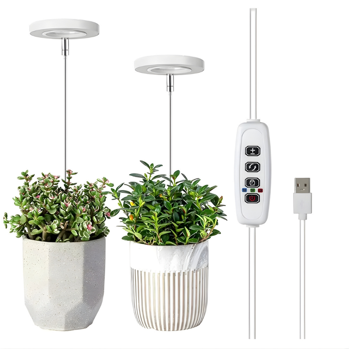 SunRoot™ – LED Fullspektrum Lampe pour une Croissance des Plantes Saine
