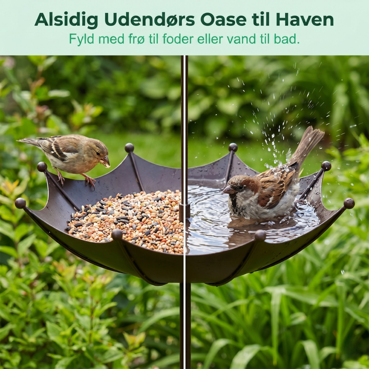 BirdHaven™ – Fontaine à oiseaux et station de nourriture extérieure pour parasol