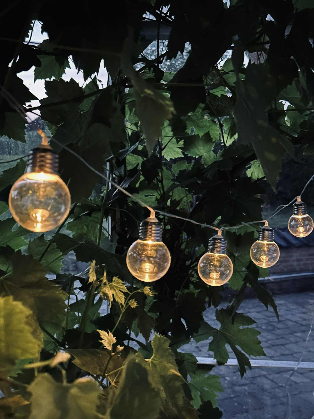Laura™ – Guirlande LED solaire