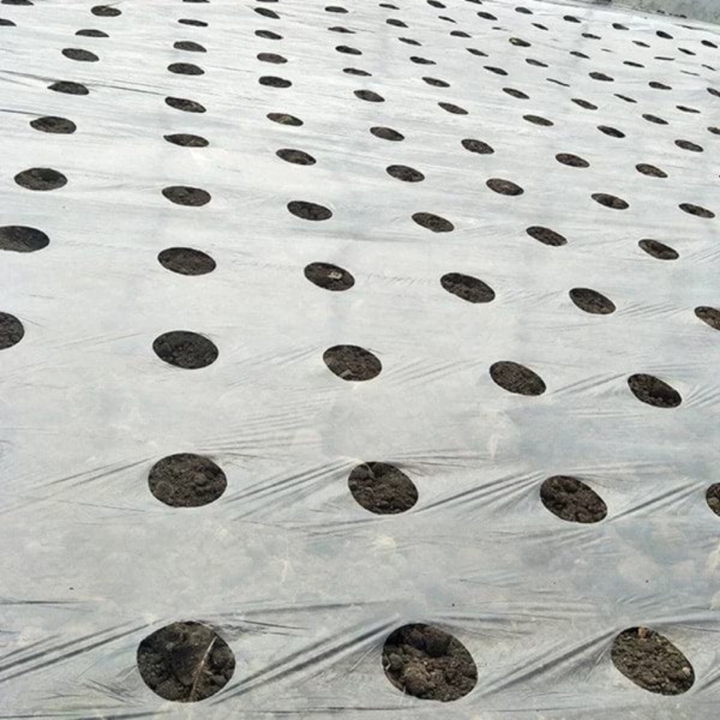 AgroBlock™ – Tissu de désherbage perforé pour couverture du sol
