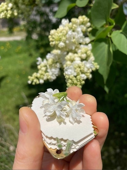 FloraPress™ Artigianato di Ricordi Botanici