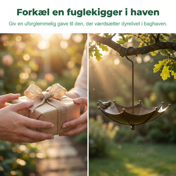 BirdHaven™ – Fontaine à oiseaux et station de nourriture extérieure pour parasol