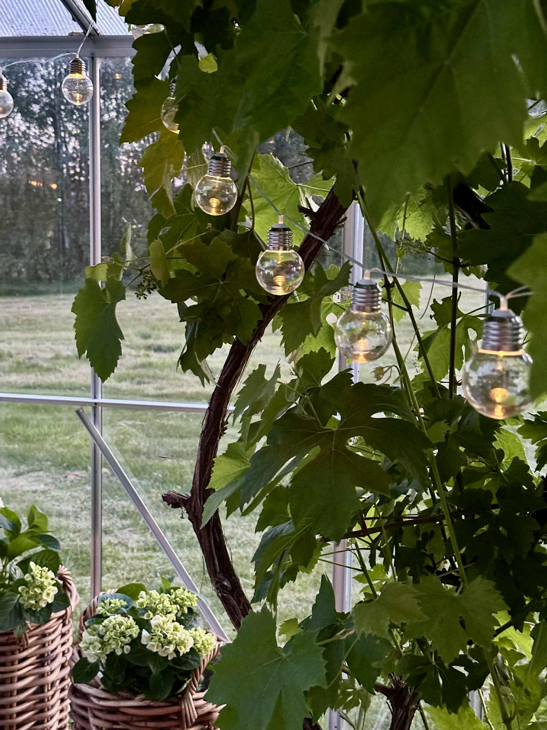 Laura™ – Guirlande LED solaire