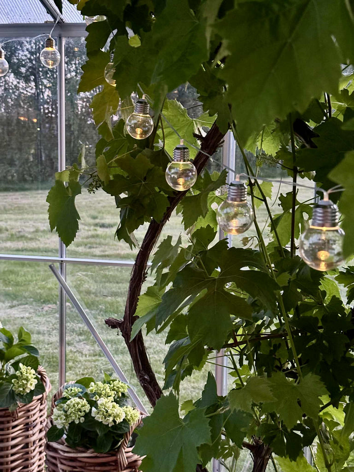 Laura™ – Guirlande LED solaire