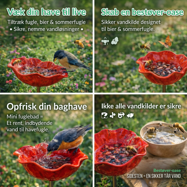 PetalHaven™ – Fontaine à oiseaux et pollinisateurs Fuglebad
