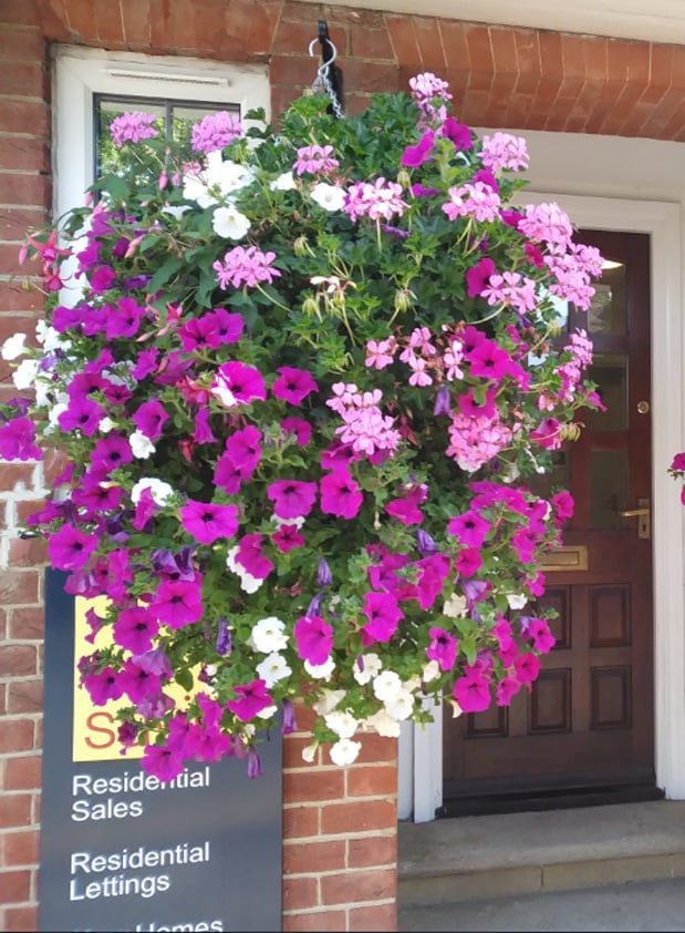 BloomGlory™ Fiori Mattutini Realistici