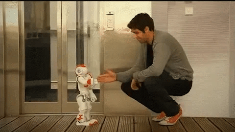 RoboLern™ Robot Bambino Intelligente | Controllo tramite gesti, Musica &amp; Danza | Programmabile | Giocattolo educativo interattivo