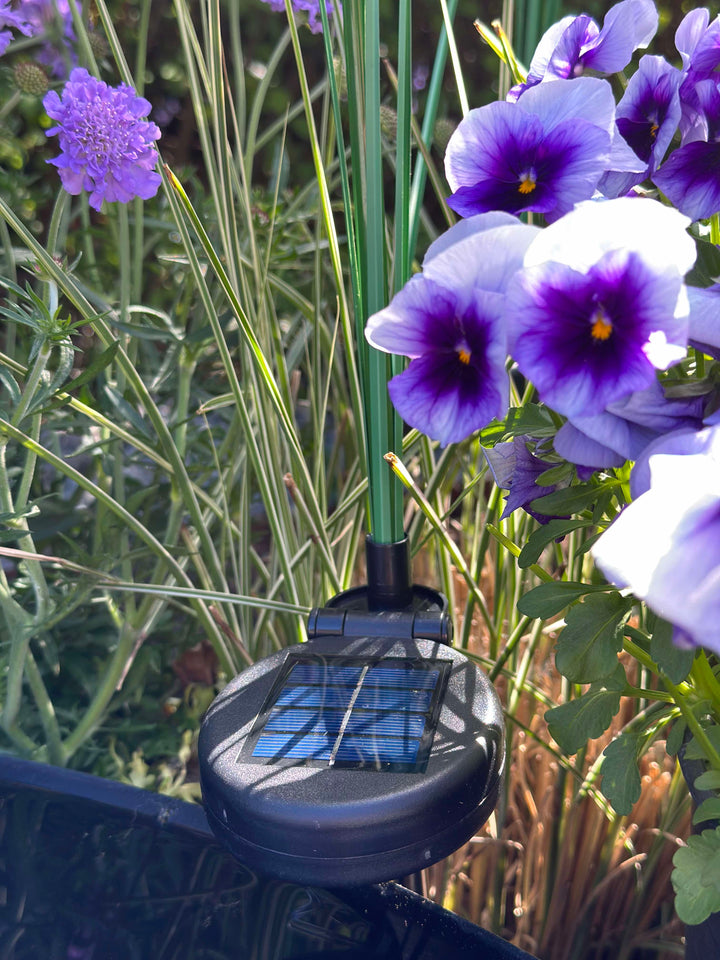 GlowGrass™ – Pampas décoratif avec panneaux solaires