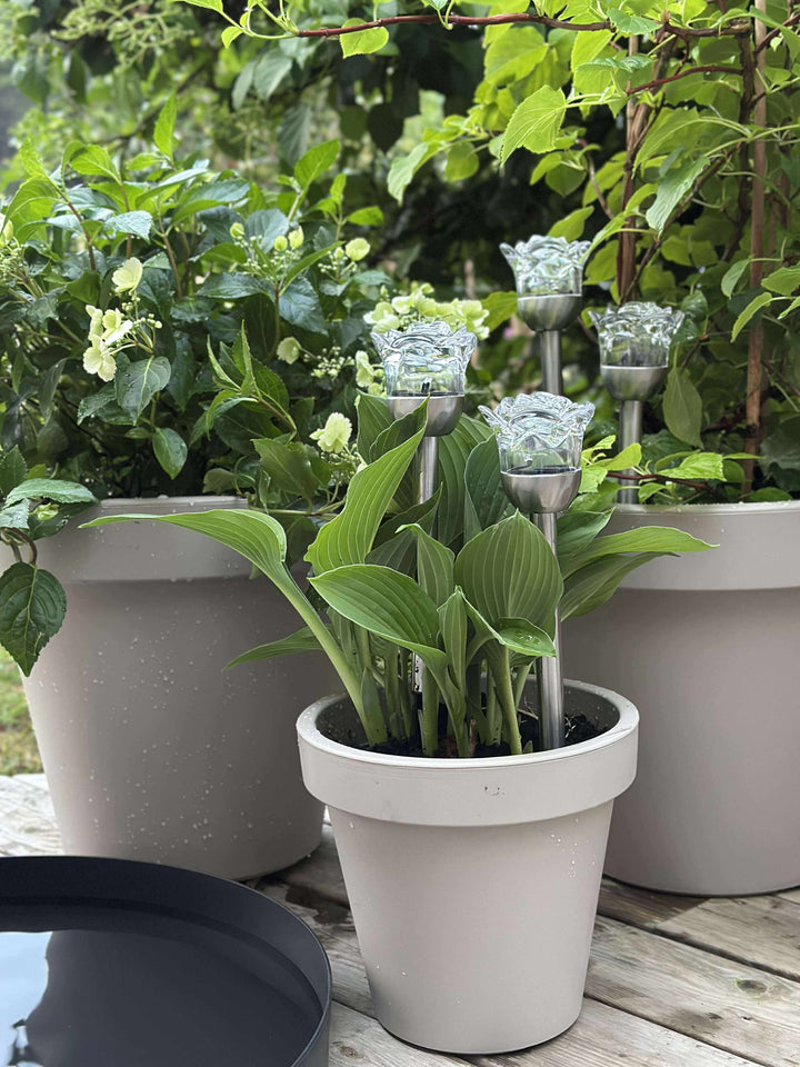 SolarBloom™ – Torche solaire en forme de fleur