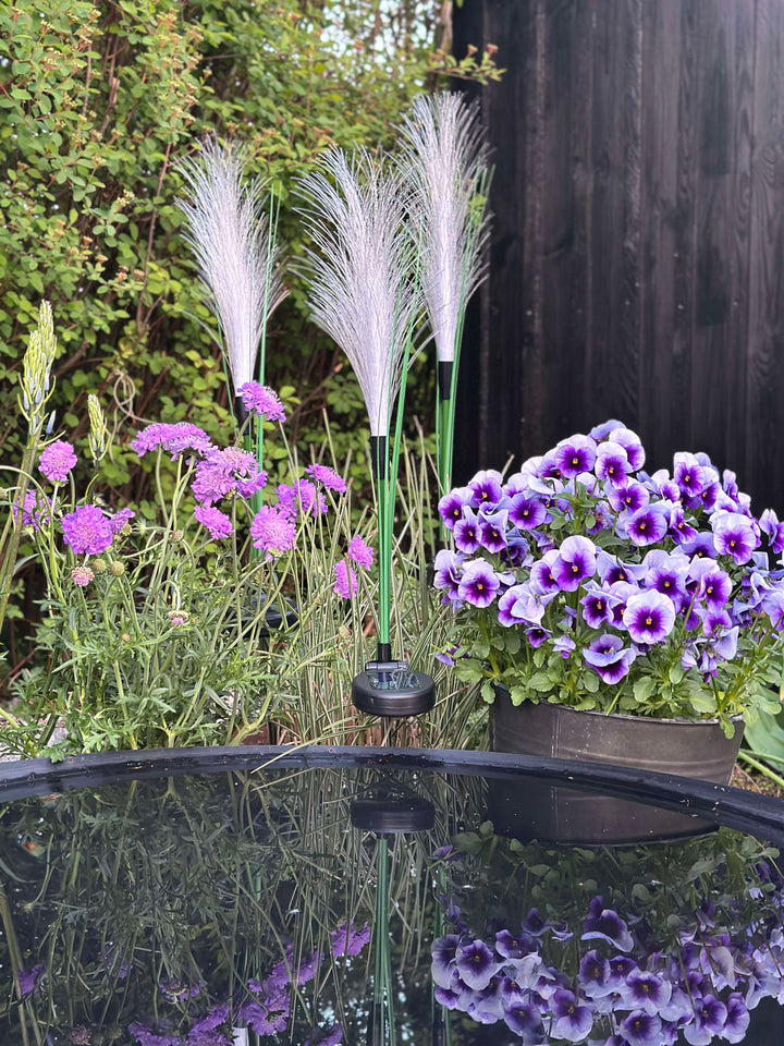 GlowGrass™ – Pampas décoratif avec panneaux solaires