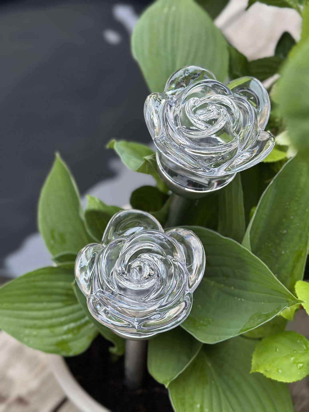 SolarBloom™ – Torche solaire en forme de fleur