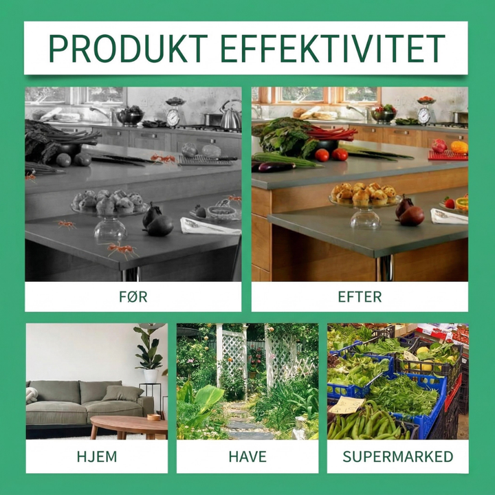 AntLure™ – Insieme Durevole per Combattere le Formiche con Esca Liquida
