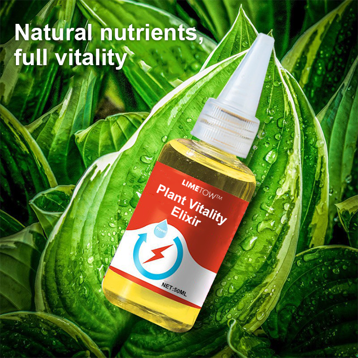 1+1 Gratuit | VitalBloom™ Renforce la Croissance des Plantes