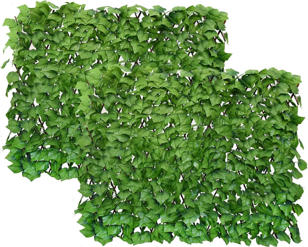GreenBarrier™ Jardin Attrayant et Intime